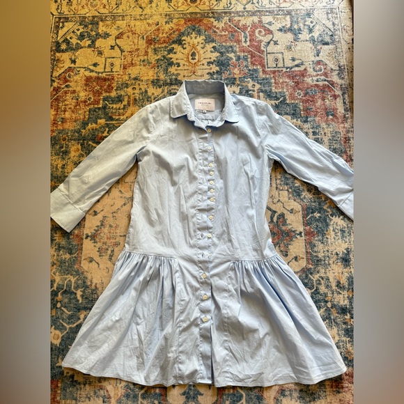 The Drop Waist Shirt Dress - Picture 4 of 7